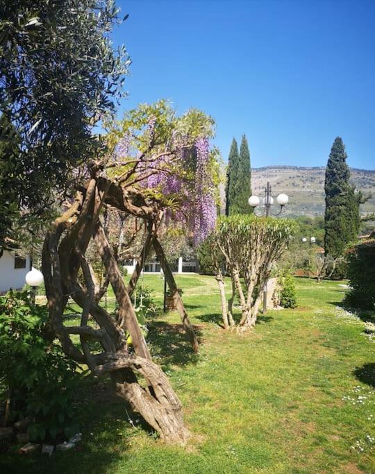 Villetta Blue Garden Sonnino Экстерьер фото