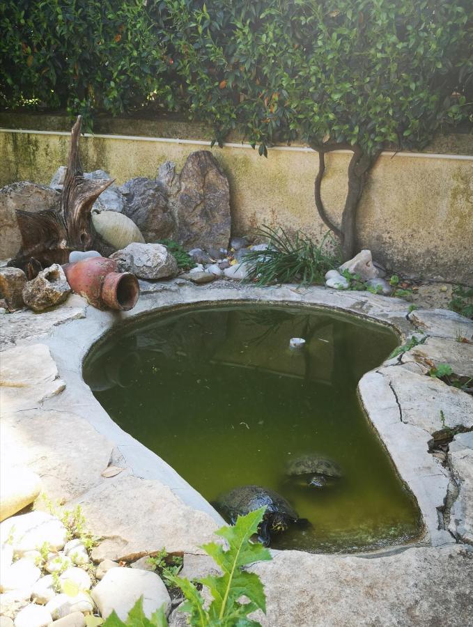 Villetta Blue Garden Sonnino Экстерьер фото