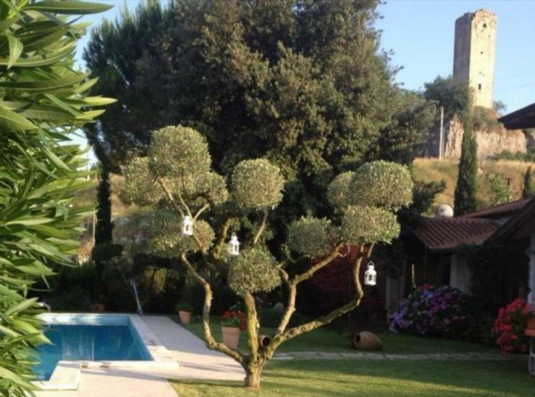 Villetta Blue Garden Sonnino Экстерьер фото